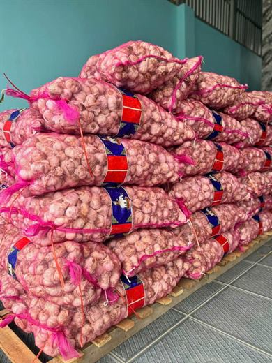 Tỏi củ đóng bao lưới