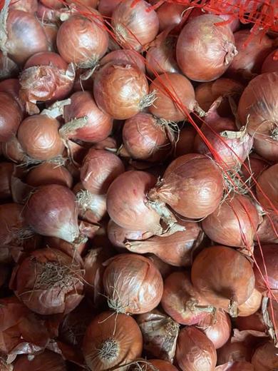 Hành củ Indo – ảnh 1