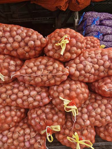 Hành củ Indo – ảnh 4